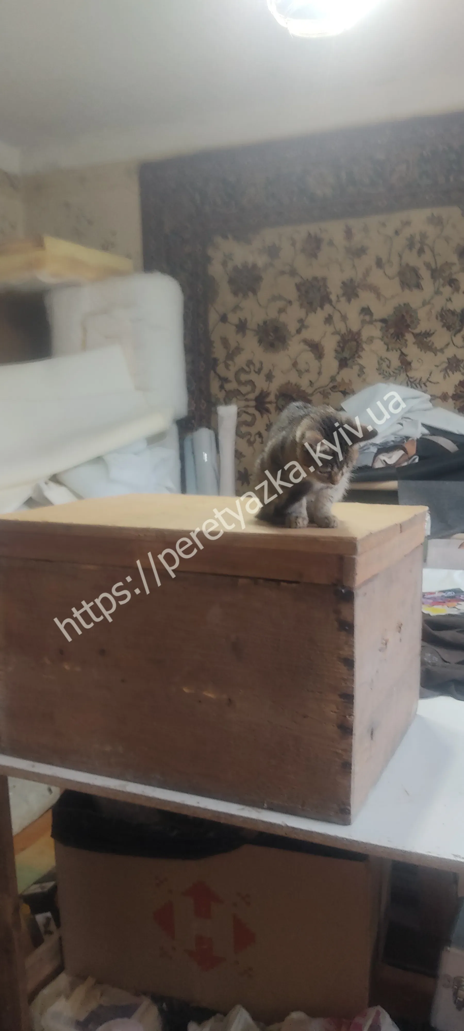 https://peretyazka.kyiv.ua приклад роботи інше